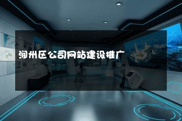 润州区公司网站建设推广