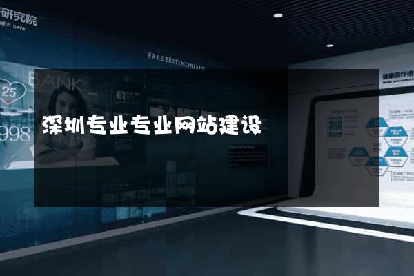 深圳专业专业网站建设