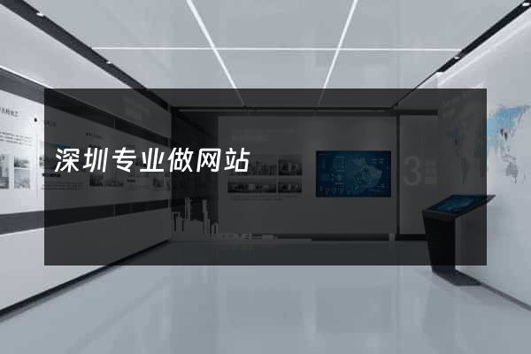 深圳专业做网站