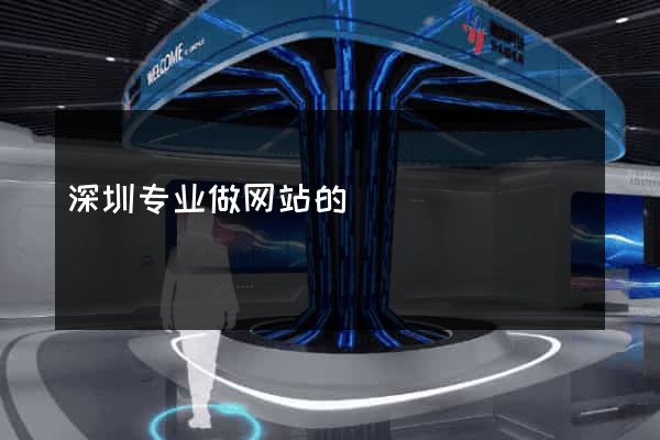 深圳专业做网站的