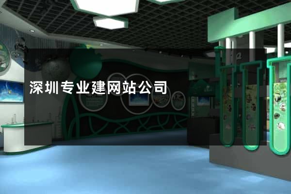深圳专业建网站公司