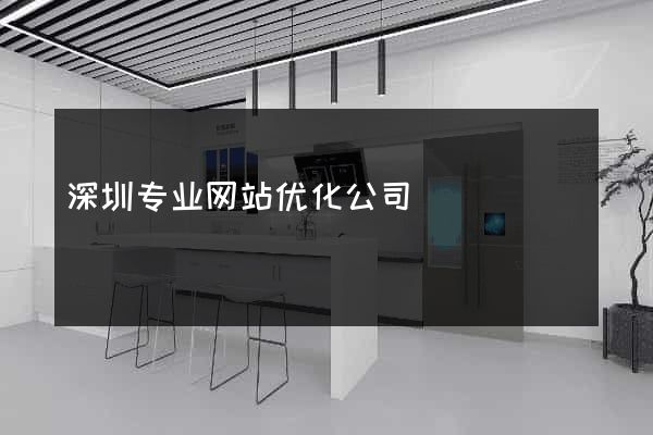 深圳专业网站优化公司