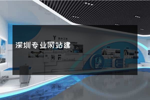 深圳专业网站建