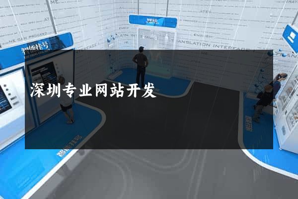 深圳专业网站开发