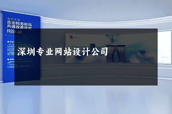 深圳专业网站设计公司