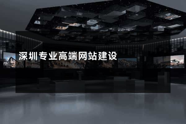 深圳专业高端网站建设