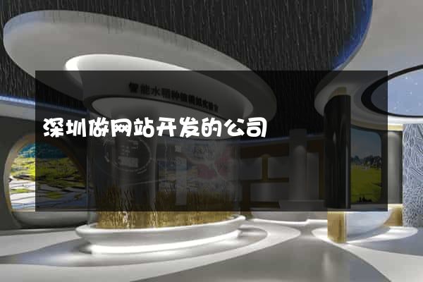深圳做网站开发的公司