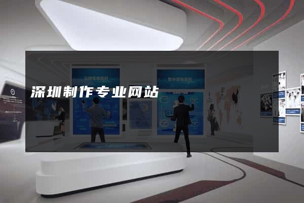 深圳制作专业网站