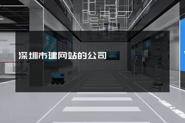 深圳市建网站的公司