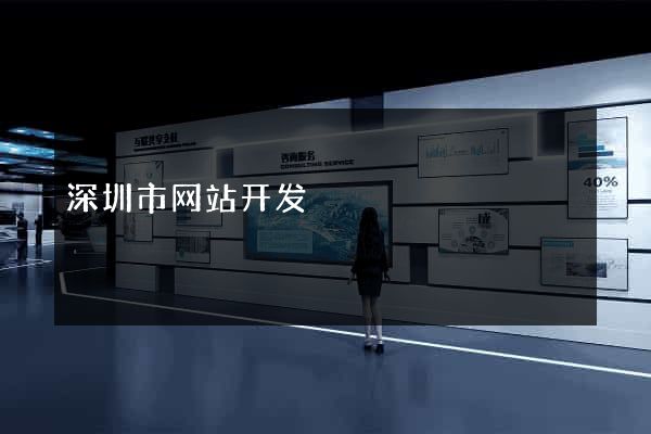 深圳市网站开发
