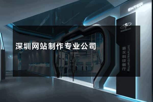深圳网站制作专业公司
