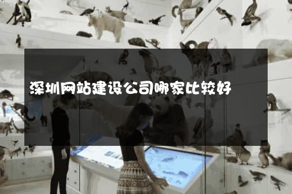 深圳网站建设公司哪家比较好