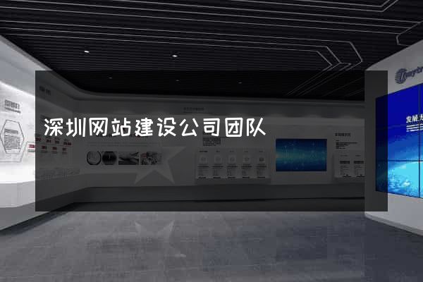 深圳网站建设公司团队