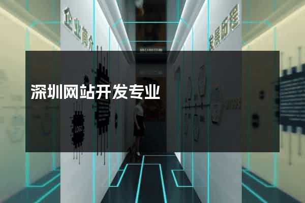 深圳网站开发专业
