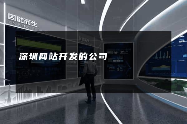 深圳网站开发的公司