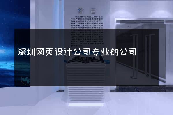 深圳网页设计公司专业的公司