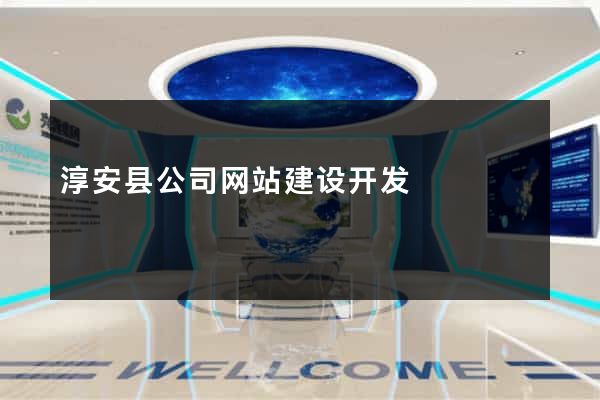 淳安县公司网站建设开发