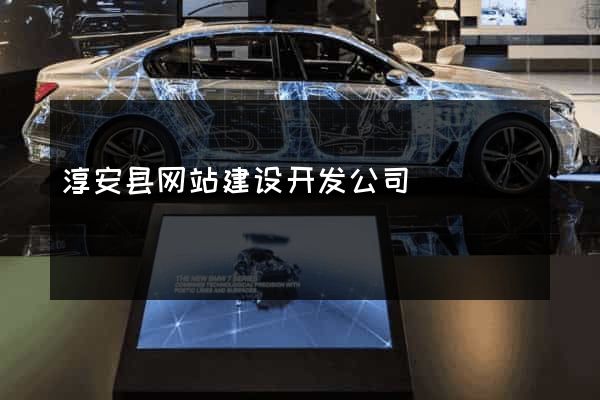 淳安县网站建设开发公司