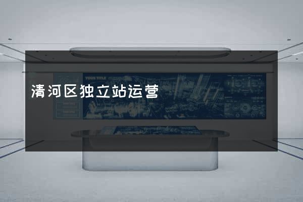 清河区独立站运营