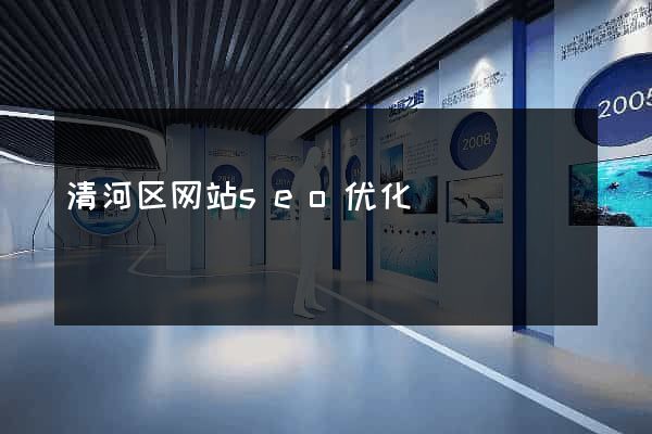 清河区网站seo优化