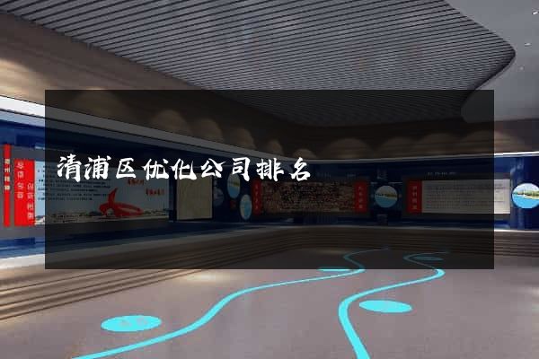 清浦区优化公司排名