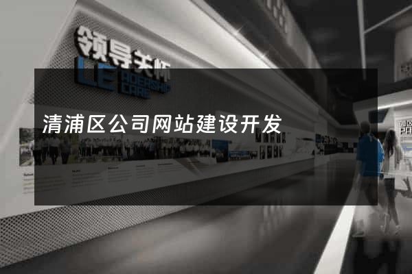 清浦区公司网站建设开发