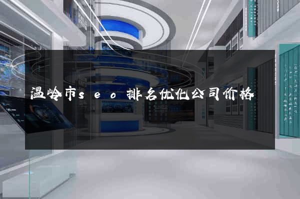 温岭市seo排名优化公司价格