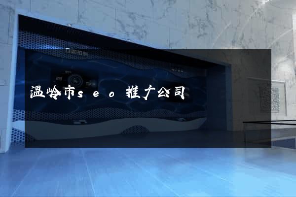 温岭市seo推广公司