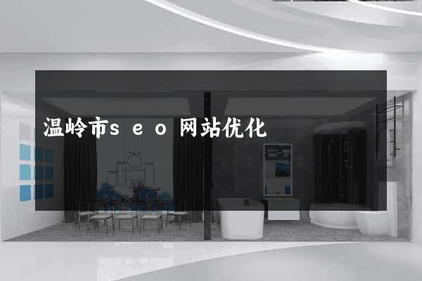 温岭市seo网站优化