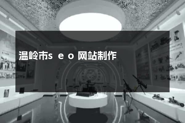 温岭市seo网站制作
