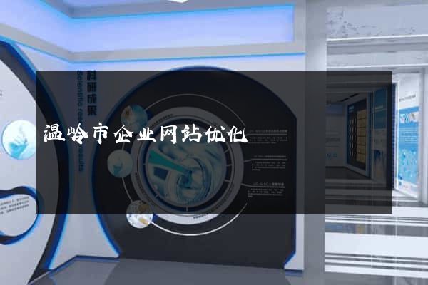 温岭市企业网站优化