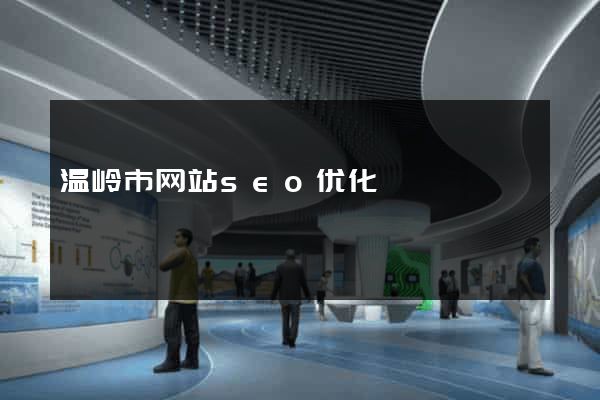 温岭市网站seo优化