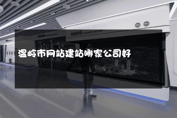 温岭市网站建站哪家公司好