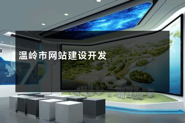 温岭市网站建设开发
