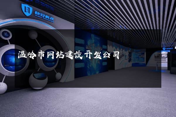 温岭市网站建设开发公司