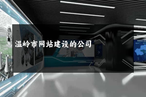 温岭市网站建设的公司