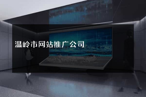 温岭市网站推广公司
