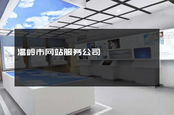 温岭市网站服务公司