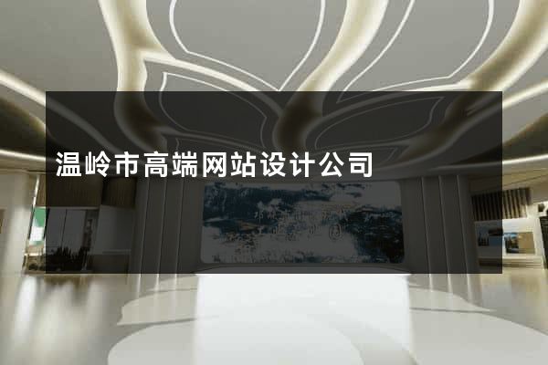 温岭市高端网站设计公司