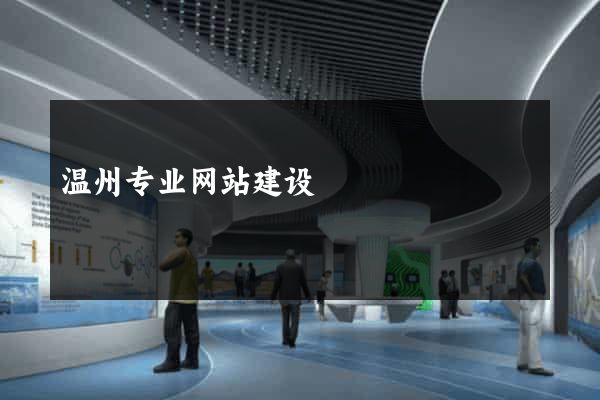 温州专业网站建设