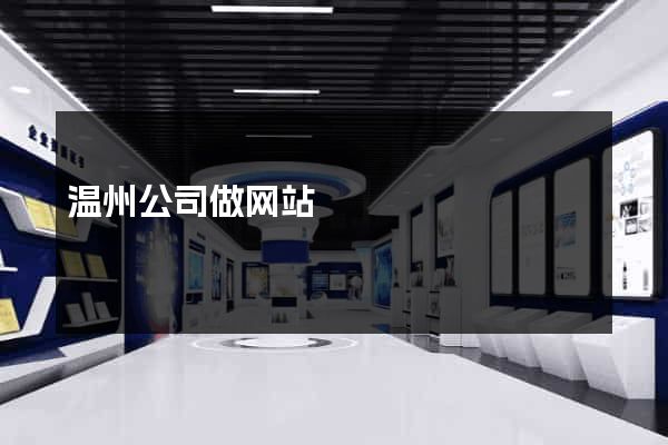 温州公司做网站
