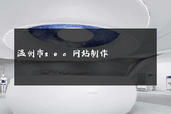 温州市seo网站制作
