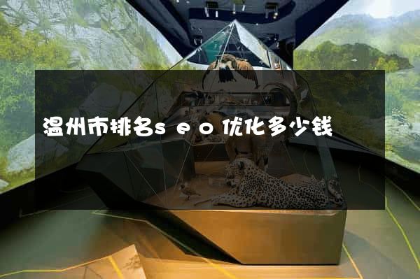 温州市排名seo优化多少钱