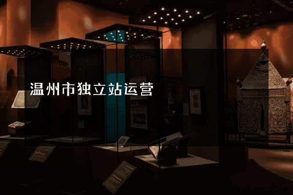 温州市独立站运营