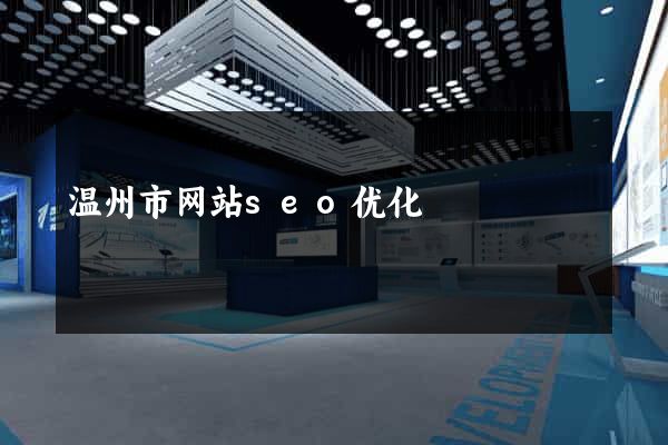 温州市网站seo优化