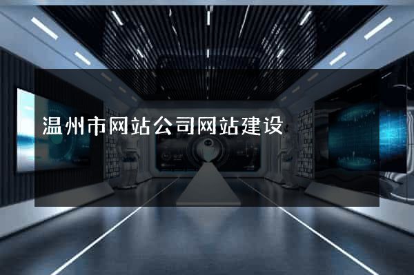 温州市网站公司网站建设