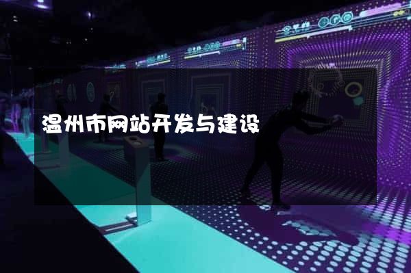 温州市网站开发与建设