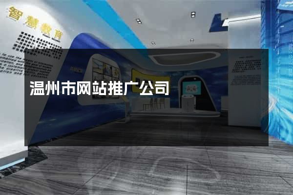 温州市网站推广公司