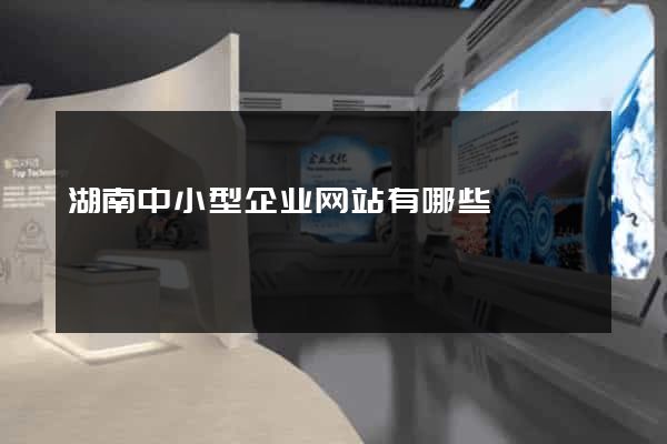 湖南中小型企业网站有哪些