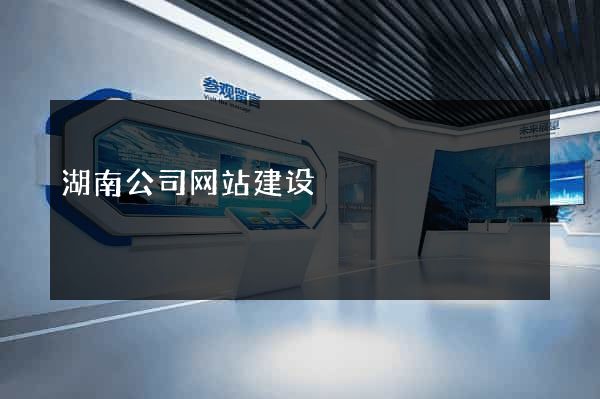 湖南公司网站建设